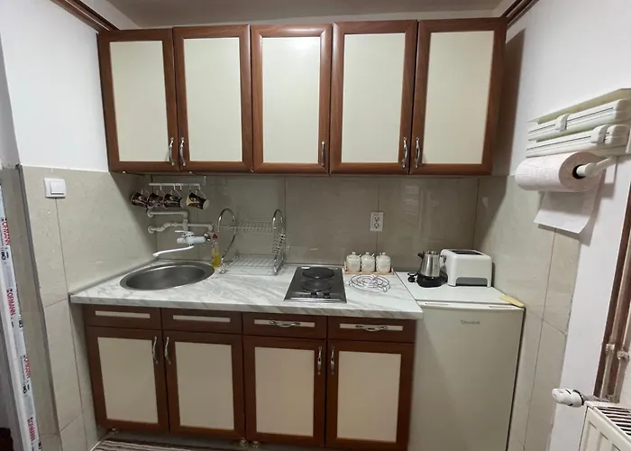 Lazin アパート *